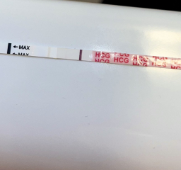 8dpo Vvfl?