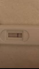 my pregnancy test