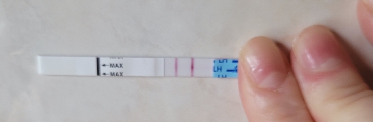 I don't know how to tell when I'm ovulating. opk bbt ect