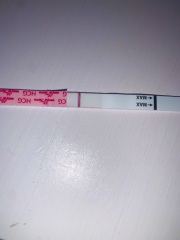 Another line eyes