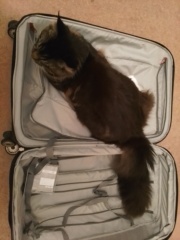 Come and tell me your dull and unexciting news 24: Calmly through the day 