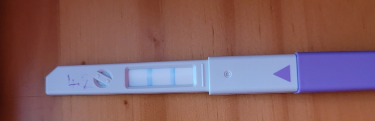 I don't know how to tell when I'm ovulating. opk bbt ect