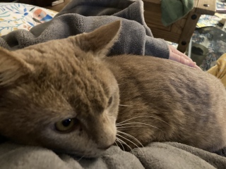 My new pal!