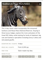 Travel agent for £7k honeymoon