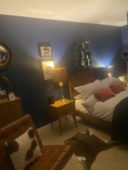 Can you advise on what colour carpet