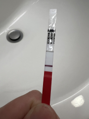 8dpo - let's make a tww club :)