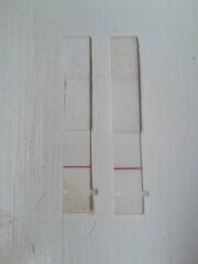 First response pregnancy tests 