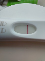Positive test, followed by a negative??