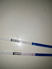 Is this a positive ovulation test? 