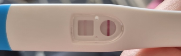 Pregnant 