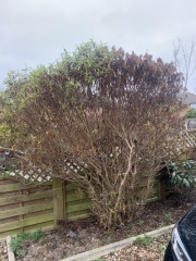 Any hope for this?