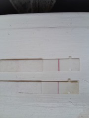 First response pregnancy tests 