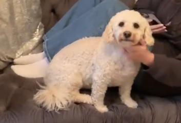 This is a Right Move corker!!!