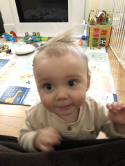 Babies to toddlers (1)