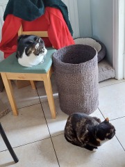 Thread 6 - TalkExiles: "Yup, still round."