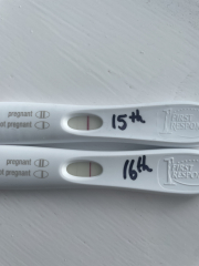 Due November 2023 ✨