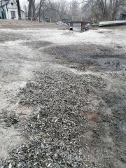 Ukraine Invasion: Part 39