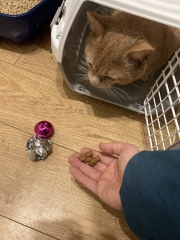 My new pal!