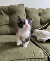 Thread 5 - TalkExiles: "The Planet Goes On Being Round"