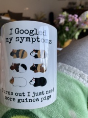 A genuine Guinea pig thread!!! 