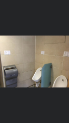 Would you go into a mens toilet for the Gender Critical cause?