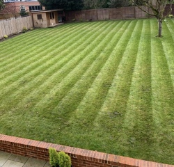 Help me plan my garden