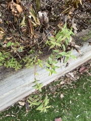 What should I do with this?