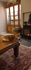 To think this is the cosiest vibe ever...