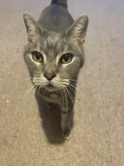 Mithril would like some sympathy please.