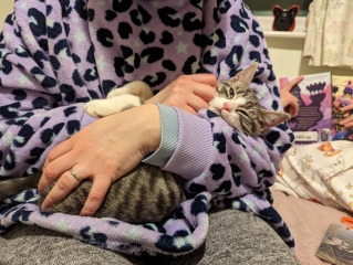 Kitten will only sleep on me...