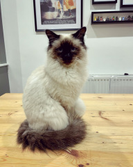 Cancer Support thread 86 - Stay Positive 