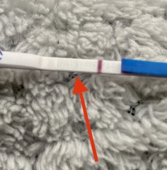 Am I seeing lines?