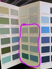 Front door colour - please choose for me!!