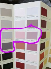 Front door colour - please choose for me!!