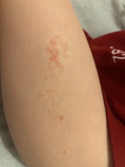 Eash