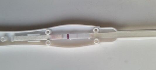 TWW - Testing Around 1st March 