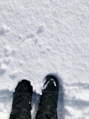 Thread 6 - TalkExiles: "Yup, still round."