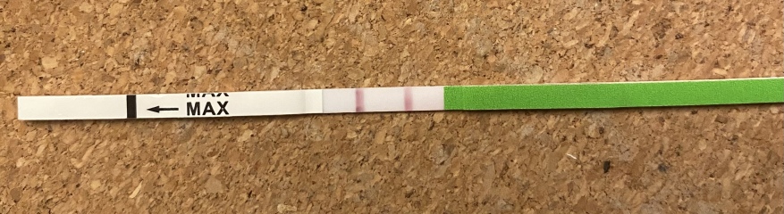 Anyone else TTC #1? Just looking for TTC buddies!