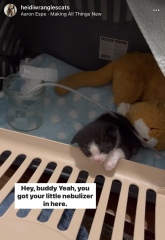 Thread 5 - TalkExiles: "The Planet Goes On Being Round"