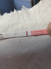 Bbt started to rise again