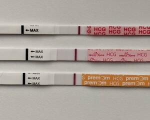 8dpo - let's make a tww club :)