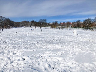 Thread 6 - TalkExiles: "Yup, still round."