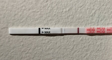 8dpo - let's make a tww club :)