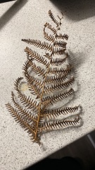 I started ceramics 3 weeks ago !