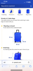 How strict is RyanAir on luggage SIZE?