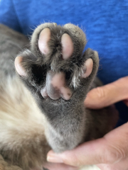 Mithril would like some sympathy please.