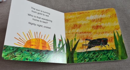 Does anyone have the children's book 'Sleep Tight Very Hungry Caterpillar'?