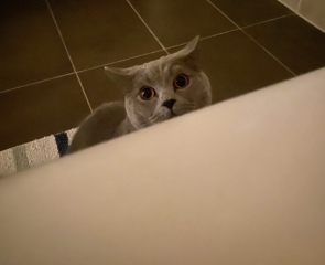 Thread 5 - TalkExiles: "The Planet Goes On Being Round"