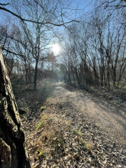 Come chat hiking with me!