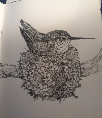 Shameless marketing - would these sell as prints or cards